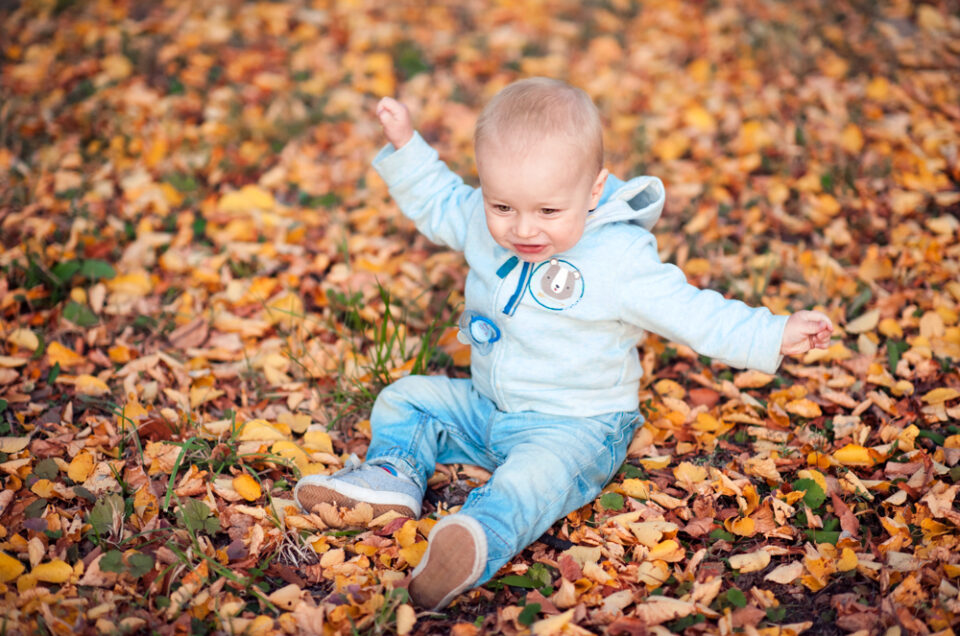 Листья и листья/Autumn stroll with Drew the Baby